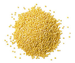 Pasta Grains: Millet Hulled - Heat Treated Organic Pre Packed 1kg