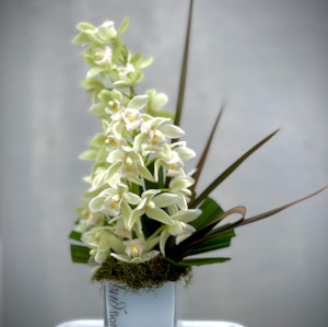 Orchid Arrangement