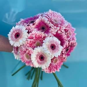 Mum Loves Gerberas