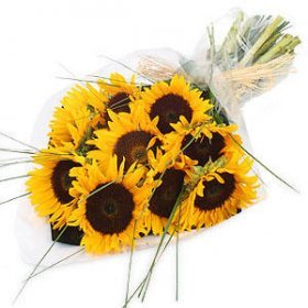 Flower: Sunflowers