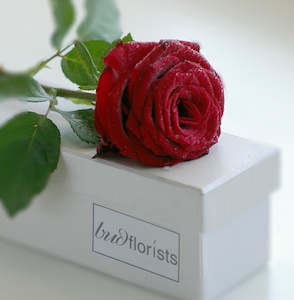 Single Red Rose boxed