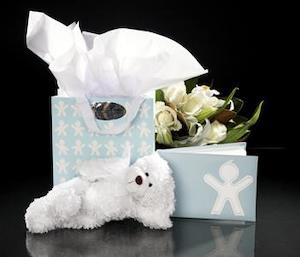 New Born Gift Bag (blue)