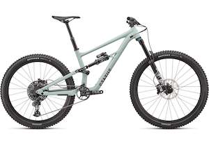 Specialized Status 160