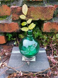 Green Bottle and Stand