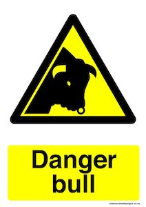 Home / ACM signs / Danger & Warning signs / Danger bull warning sign