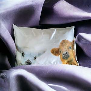 Lamb and Calf Silk Pillowcase