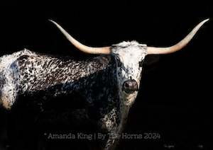 Creative art: The Longhorn