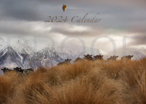 Wall Calendar 2024