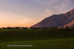 Creative art: Deer On The Horizon