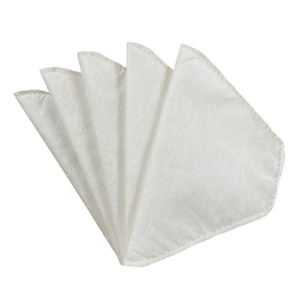 Clothing wholesaling: Cactus Face Mask Filters 5 Pack