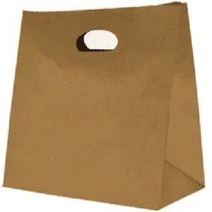 Paper Carry Bag, Medium