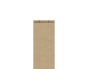 Double Bottle Paper Bag | Brown