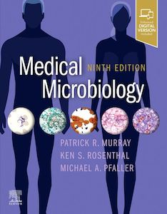 Adult, community, and other education: Medical Microbiology