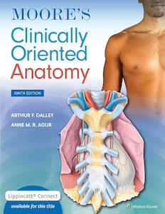 Adult, community, and other education: Moore's Clinically Oriented Anatomy