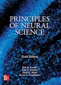 Adult, community, and other education: Principles of Neural Science