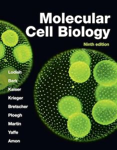 Molecular Cell Biology