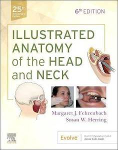 Adult, community, and other education: Illustrated Anatomy of the Head and Neck