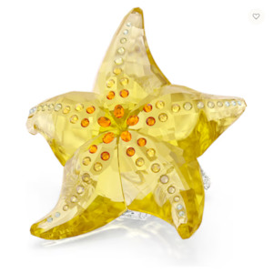 Idyllia SCS Starfish