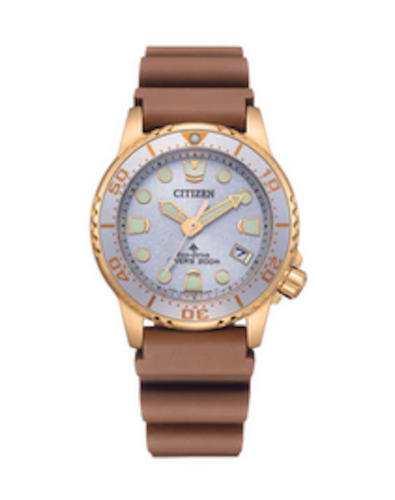 Citizen Pro-Master Unisex Eco-Drive