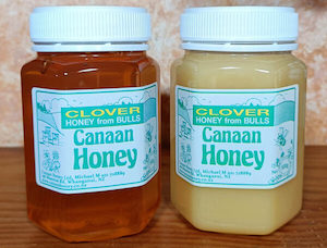 Clover Honey