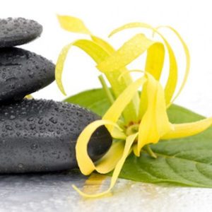 Internet only: Ylang Ylang Fragrance Oil