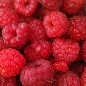 Raspberry Fragrance Oil