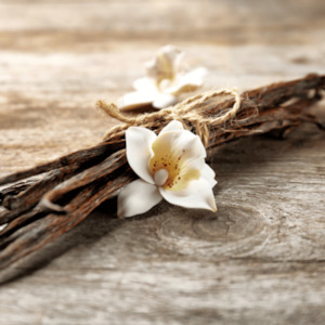 Internet only: Vanilla Woods Fragrance Oil