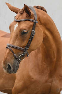 PS OF SWEDEN STOCKHOLM BRIDLE