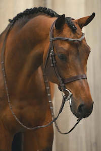 PS of Sweden WELLINGTON BRIDLE