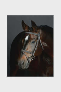 COLLEGIATE COMFITEC OPULUX FANCY STITCH PADDED HANOVERIAN BRIDLE