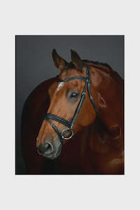 Collegiate Comfitec Opulux Plain Padded Hanoverian Flash Bridle