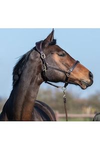 PS of Sweden Anatomical Leather Halter