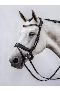 Sporting equipment: PS of Sweden Paladin Bridle