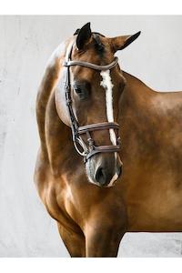 PS of Sweden - Paris Bridle