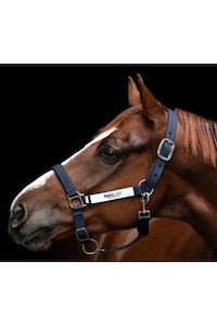 Horseware Field Safe Head Collar