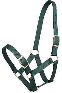 Gymkhana Foal Halter - Hunter Green