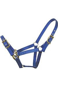 Flair Heavy Duty Nylon Web Halter