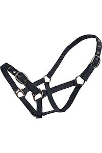 Blue Tag Web Halters