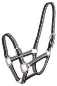 Sporting equipment: Striped Halter