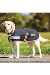 Sporting equipment: Weatherbeeta Comfitec 1200D Therapy-Tec Dog Coat