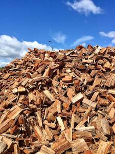 Gum Firewood