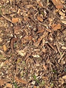 Wood Chip (Tree Mulch)