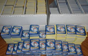 100 Pokemon Cards + Bonus