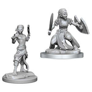 Nolzur's Marvelous Miniatures - Shifter Fighter