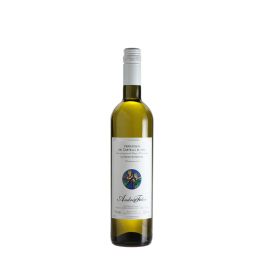 Wine and spirit merchandising: 2023 Felici Verdicchio dei Castelli di Jesi Caros Wines NZ