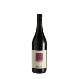 2022 Sandrone Barbera d'Alba Caros Wines NZ