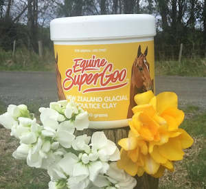 Sporting equipment: Equine Super Goo Clay