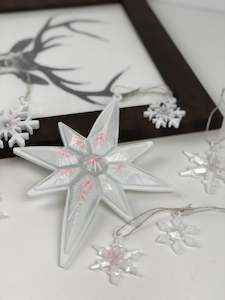 Dried flower: Decorations Christmas white glitter 7 piece set