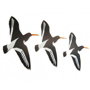 OYSTER CATCHER AIRWAYS TRIO