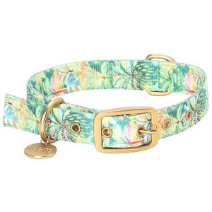 Colombo Dog Collar